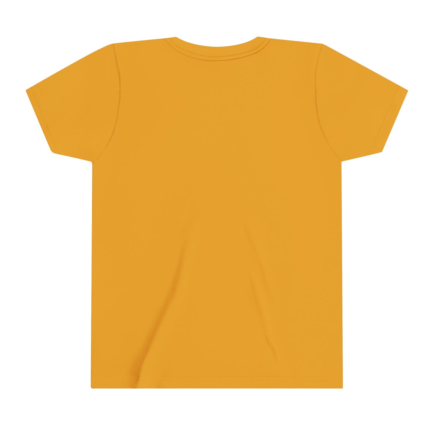 Youth Short Sleeve Tee, Bison on Parflech Design, Kid's t-shirt, Native Design,