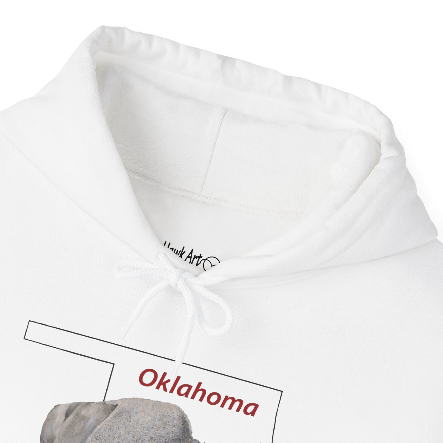 Unisex Heavy Blend™ Hooded Sweatshirt, Oklahoma, Bison