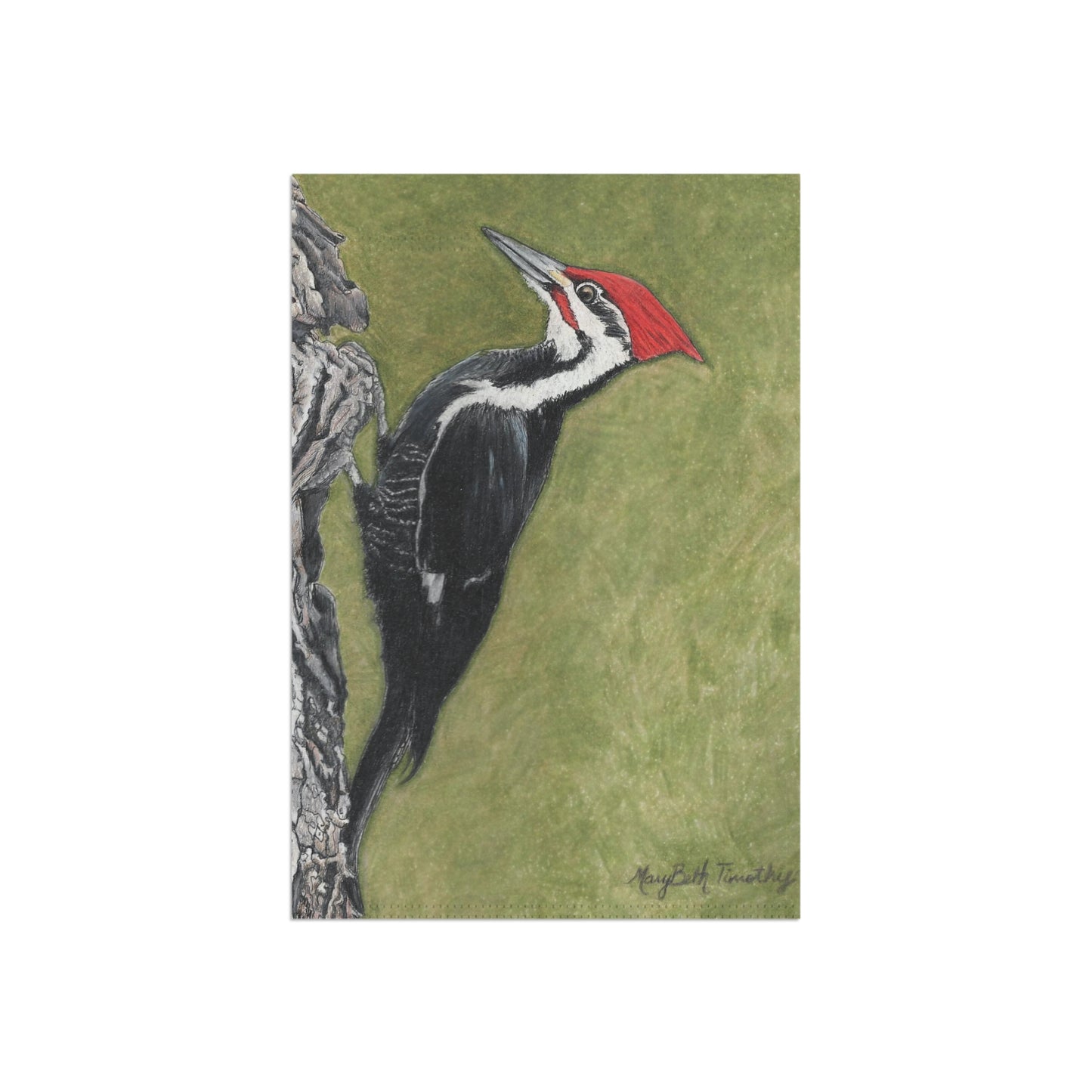 Garden & House Banner, Pileated Woodpecker