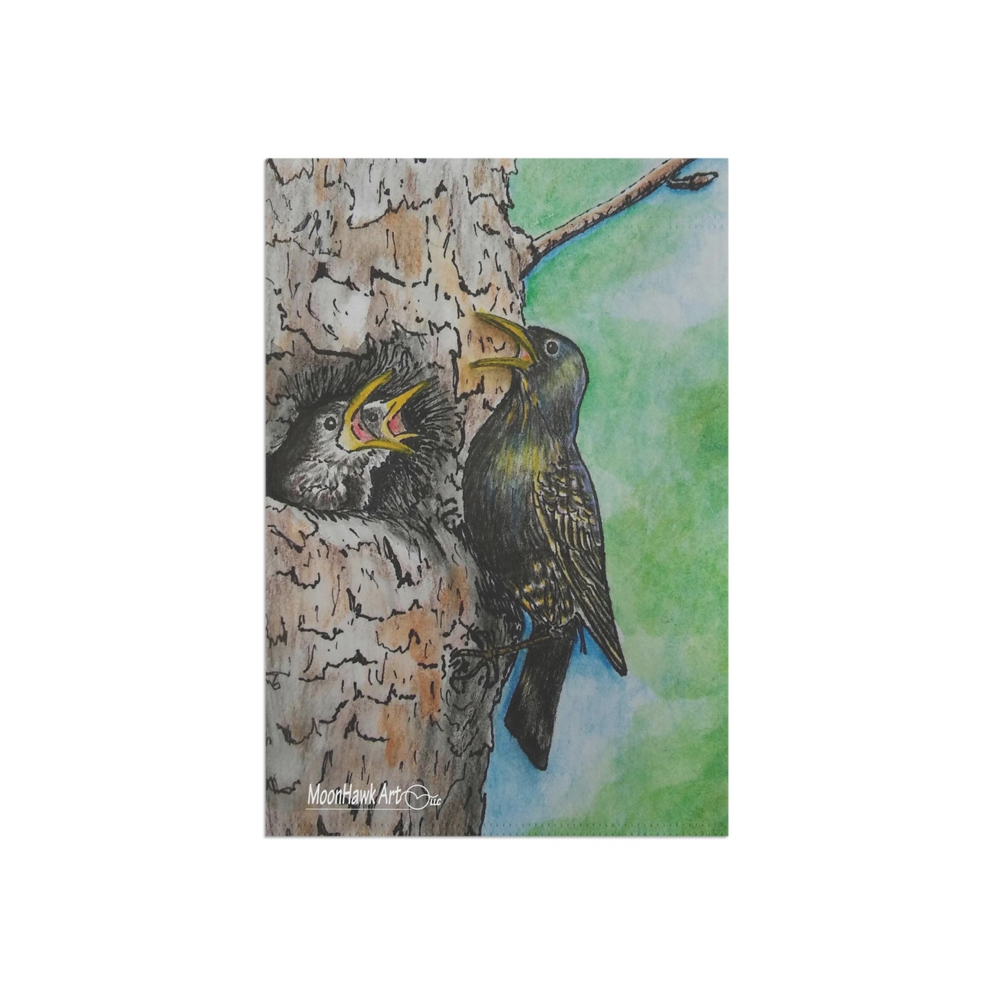 Garden & House Banner, My Darling Starlings