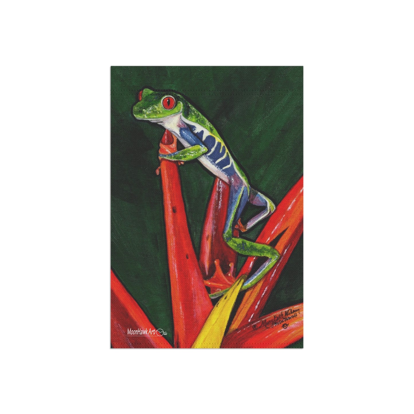 Garden & House Banner, Red Eyed Leaf Frog on Bird of Paradise