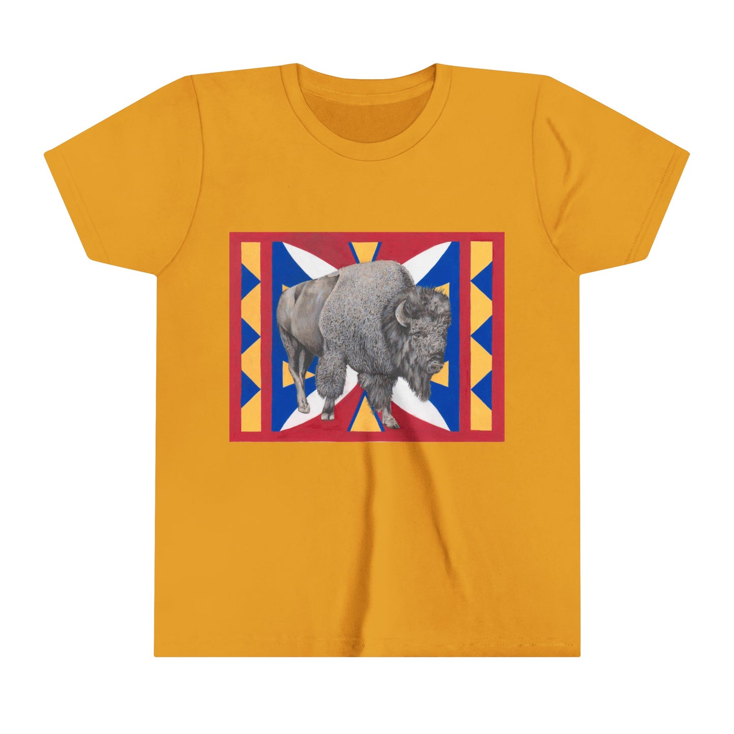 Youth Short Sleeve Tee, Bison on Parflech Design, Kid's t-shirt, Native Design,