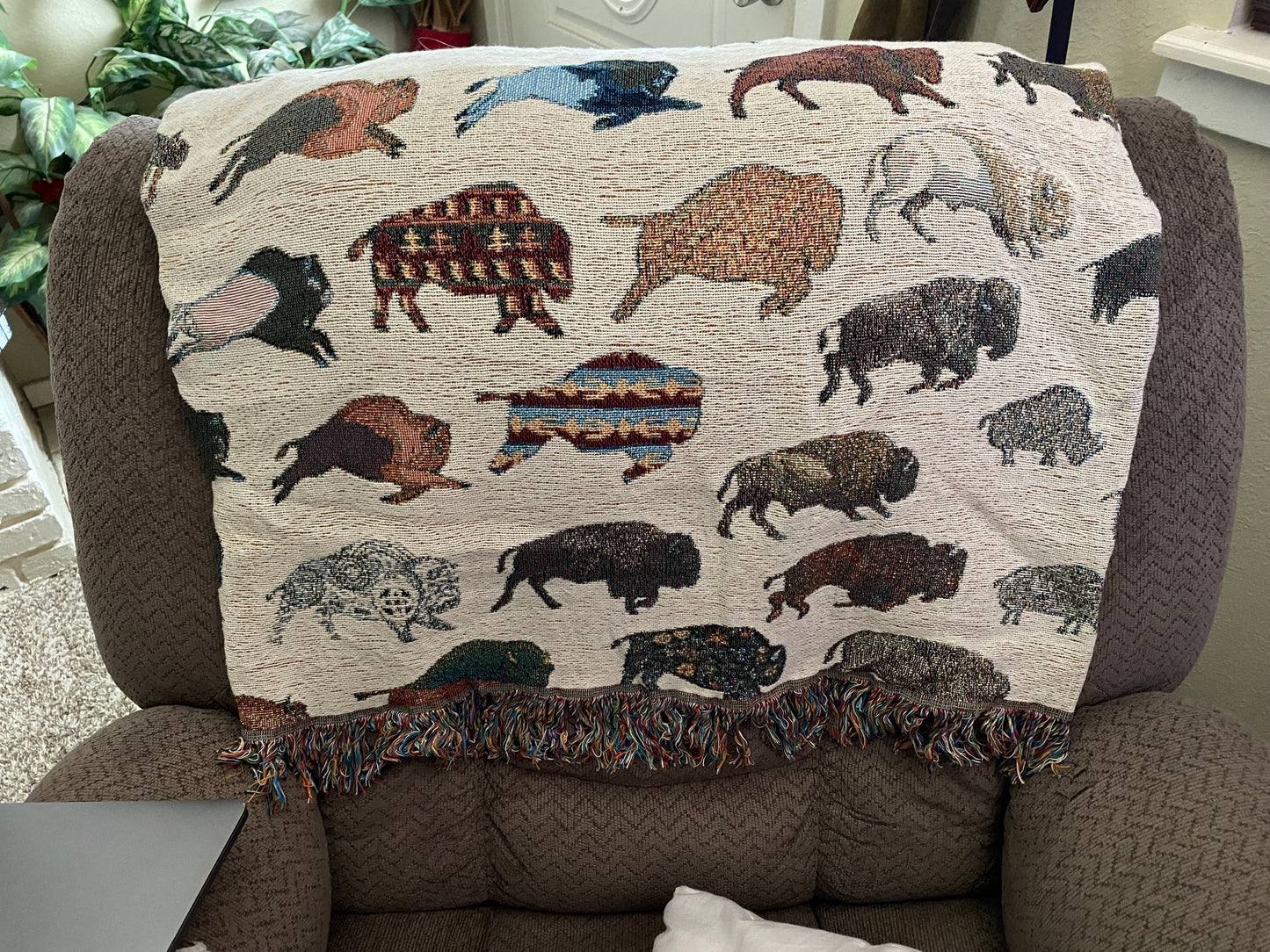 Woven Blanket Bison Art Transition