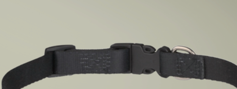 Clip-on Pet Collar, Southeast Spider Motif,