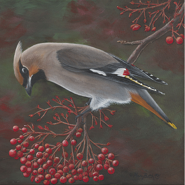 Art Print - Cedar Waxwing - See Their Wax Wings