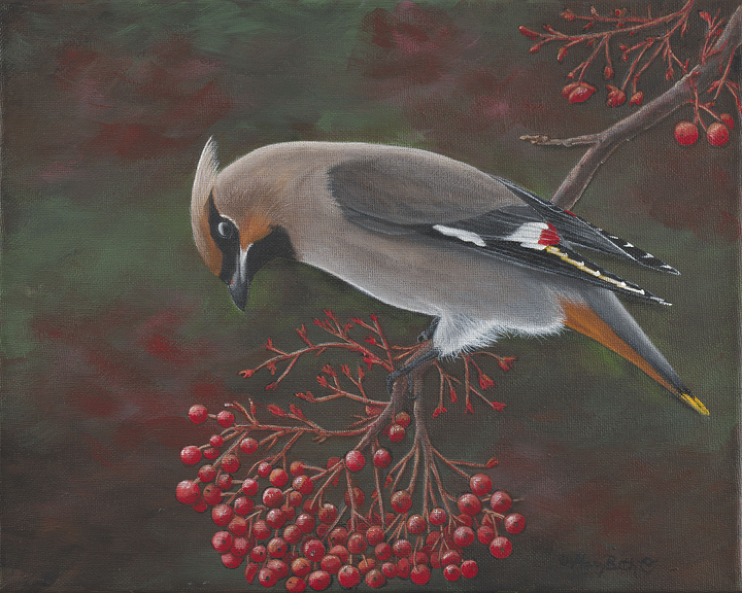 Art Print - Cedar Waxwing - See Their Wax Wings