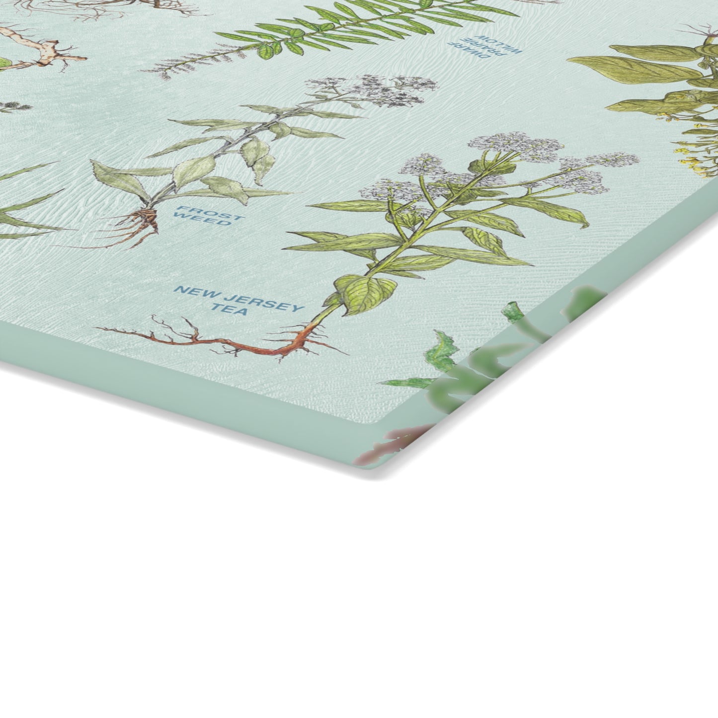 Cherokee Herbal Botanical Glass Cutting Board – Vintage Medicinal Plant Print