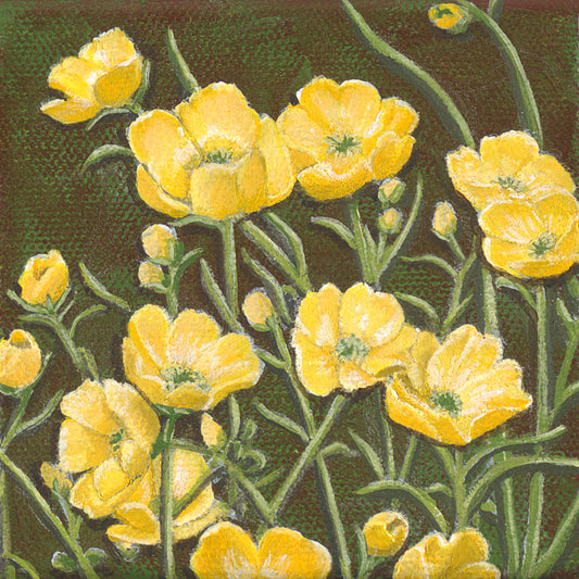 Art Print - Buttercups - Yellow Wildflowers