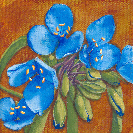 Art Print - Spiderwort - Blue Floral - Wildflowers