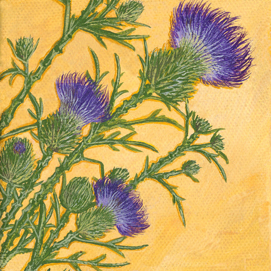 Art Print - Thistle - Purple - Wildflower