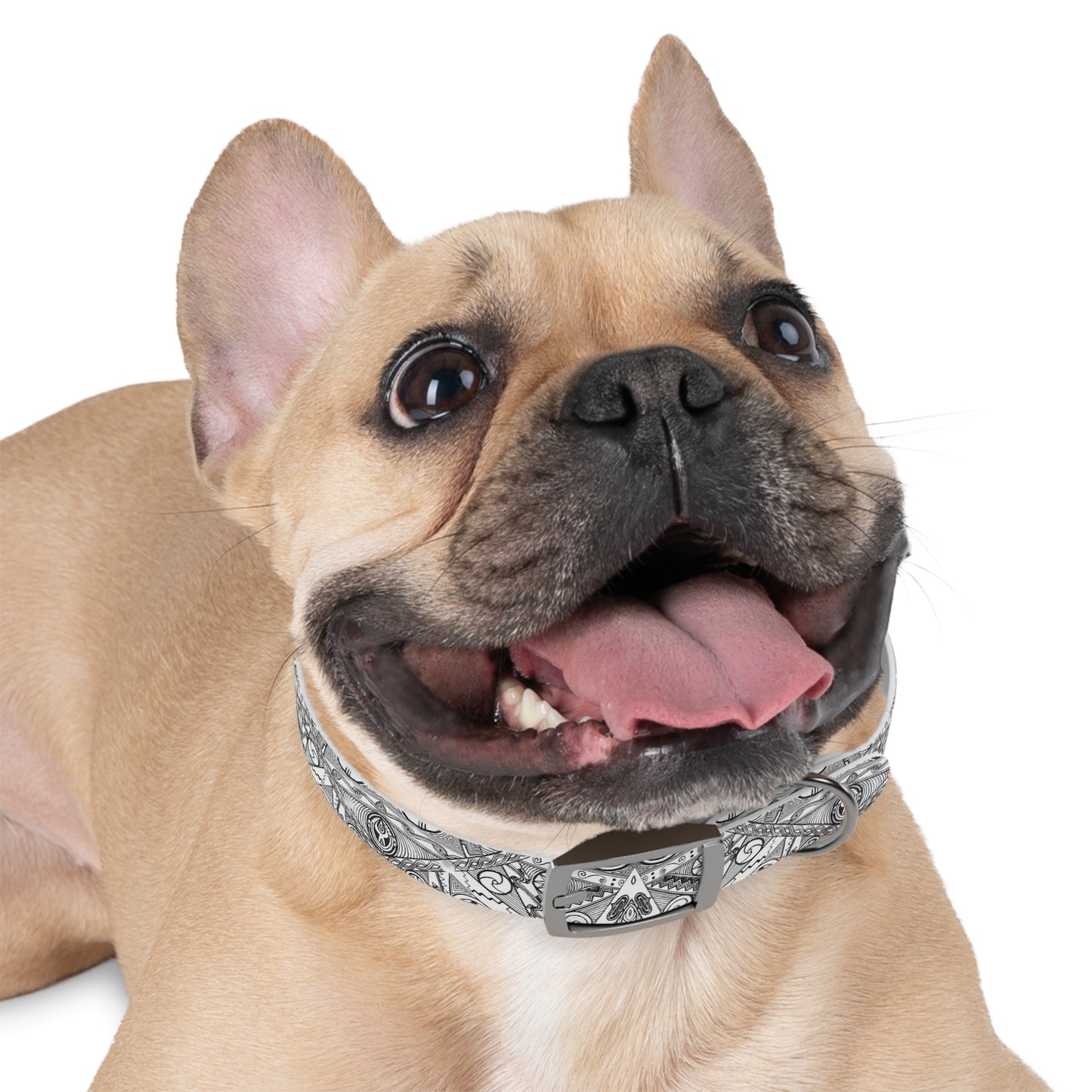 Black and White Tribal Motif Dog Collar, Pet Accessory