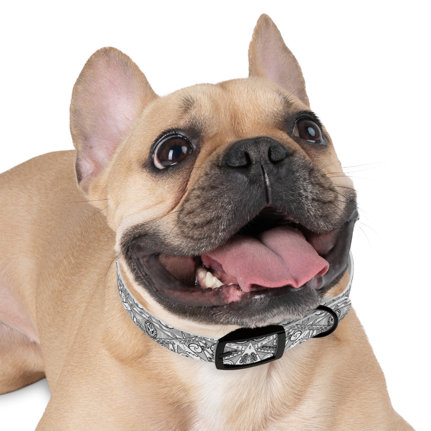 Black and White Tribal Motif Dog Collar, Pet Accessory
