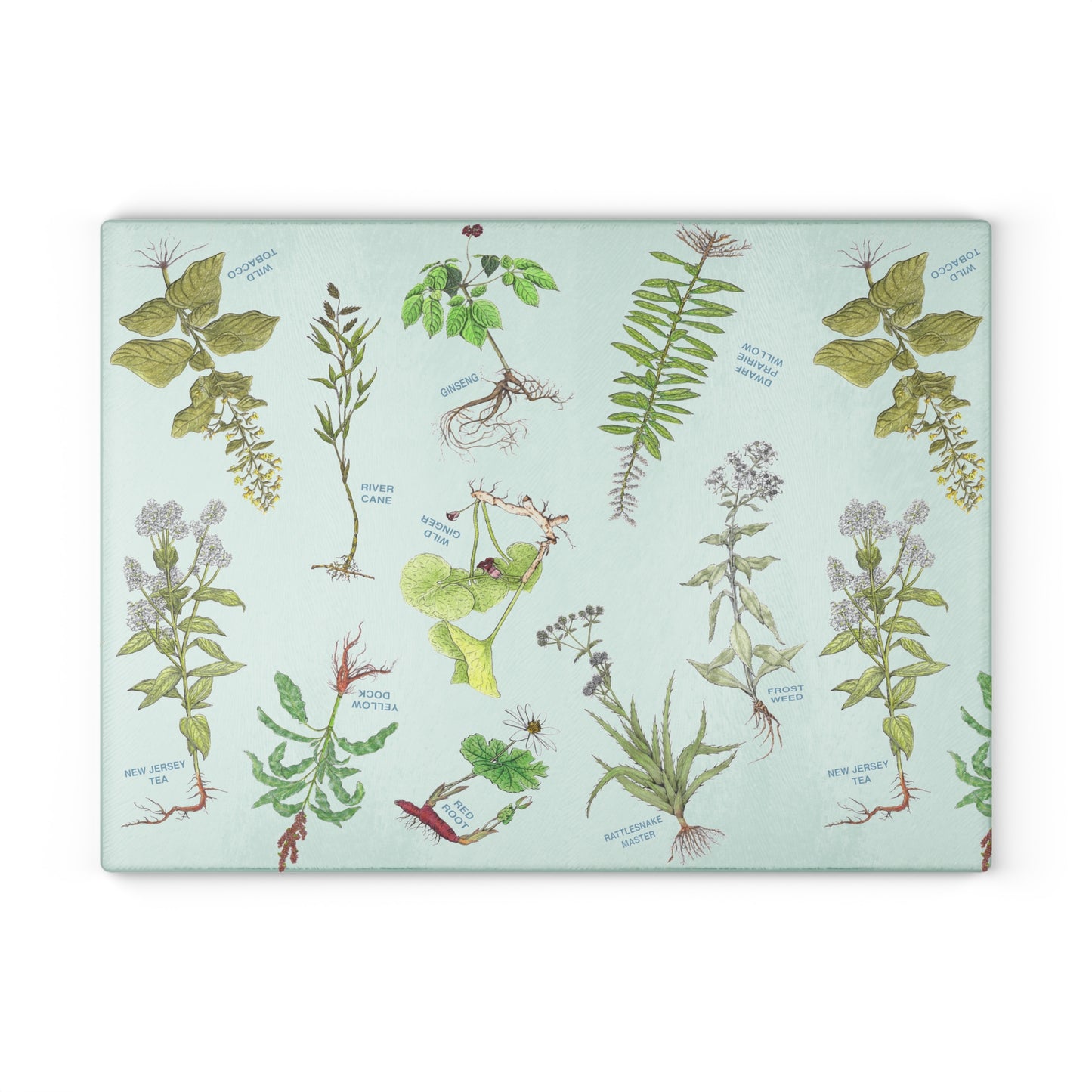 Cherokee Herbal Botanical Glass Cutting Board – Vintage Medicinal Plant Print