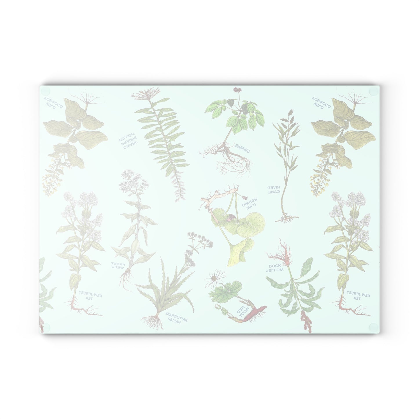 Cherokee Herbal Botanical Glass Cutting Board – Vintage Medicinal Plant Print