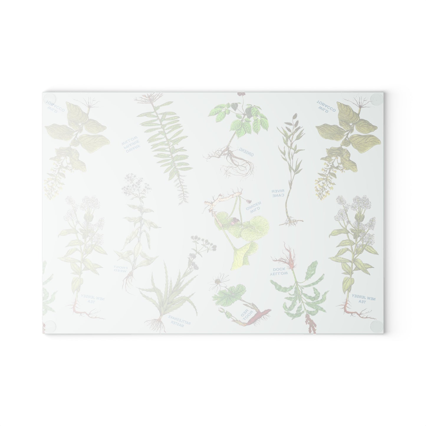 Cherokee Herbal Botanical Glass Cutting Board – Vintage Medicinal Plant Print