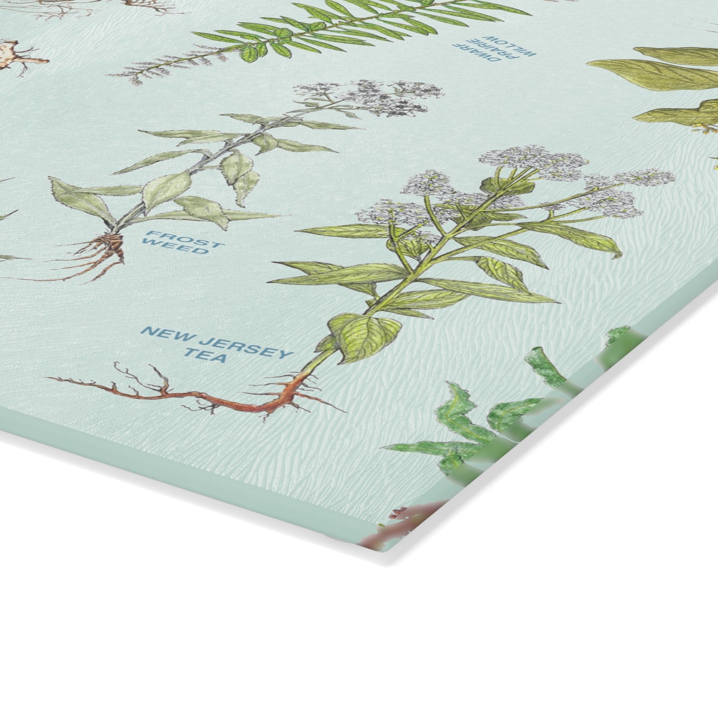 Cherokee Herbal Botanical Glass Cutting Board – Vintage Medicinal Plant Print