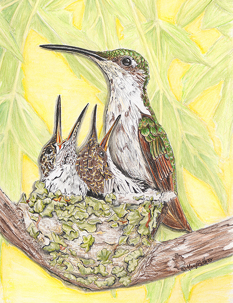 Art Print - Hummingbirds - A Joyful Noise