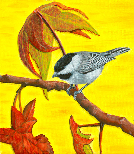Art Print - Chickadee - Big Medicine