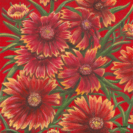 Art Print - Indian Blanket - Wildflowers