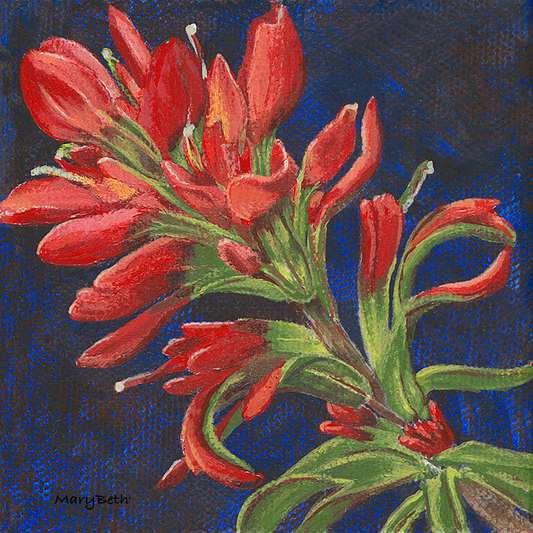 Art Print - Indian Paintbrush - Wildflowers
